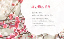 画像をギャラリービューアに読み込む, クリームフォーボディ 紅い梅の香り(200g)｜CHAYA cosme

