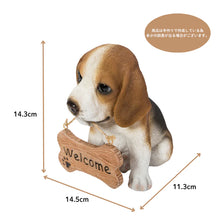 画像をギャラリービューアに読み込む, ようこそビーグル｜WooBia（ウービア）
