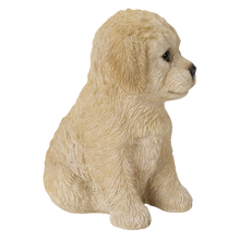 画像をギャラリービューアに読み込む, お座り トイプードル｜WooBia（ウービア）
