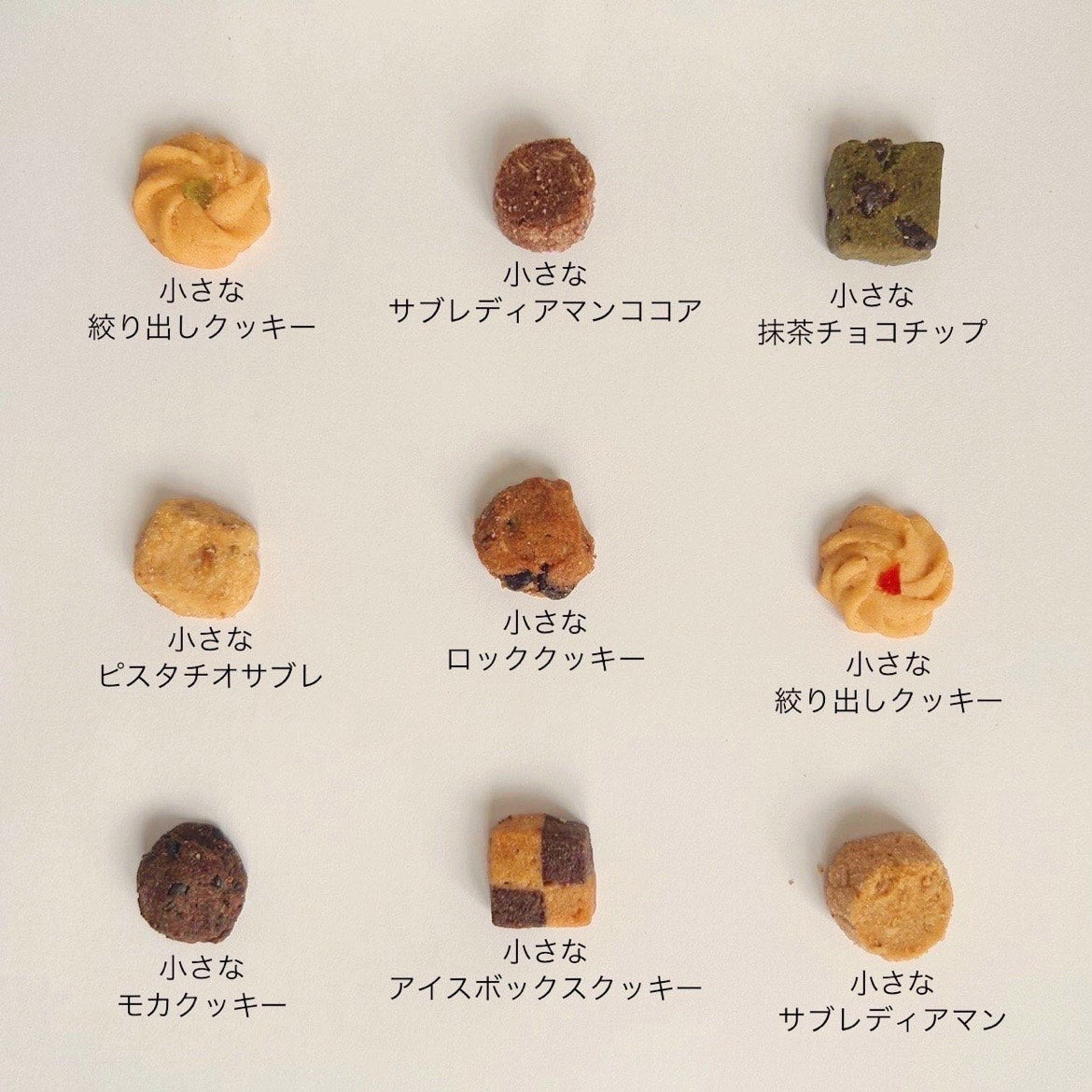 小さなクッキー缶｜Dinosaur Tree（ダイナソーツリー） – CHOOSEBASE