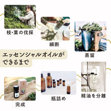 画像をギャラリービューアに読み込む, 日本の木のアロマ　エッセンシャルオイル　富山ニオイコブシ｜MOKULABO fragrance（モクラボフレグランス）
