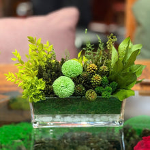画像をギャラリービューアに読み込む, Ｇｒｅｅｎｌａｎｄ グリーンランド　M｜GINZA SOBI FLOWERS（ギンザ　ソビ　フラワーズ）
