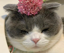 画像をギャラリービューアに読み込む, 祈るように眠るネコ・ももたろうの耳飾り｜maltamarie（マルタマリエ）
