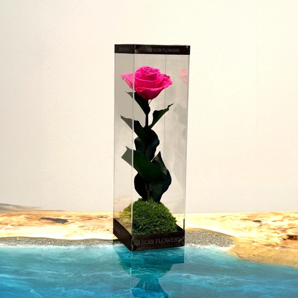 カド― ～ FUSION ROSE ～ PINK｜GINZA SOBI FLOWERS