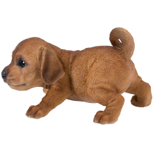 画像をギャラリービューアに読み込む, かまえるダックスフンドの子犬｜WooBia（ウービア）
