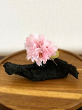 画像をギャラリービューアに読み込む, 優しい桜：炭オブジェ｜櫂の炭（カイノスミ）
