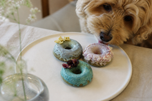 画像をギャラリービューアに読み込む, 【初夏限定】Lemi’s Nature Donuts – Early Summer Collection｜Lemi's Barkery（レミーズバーカリー）
