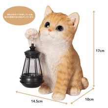 画像をギャラリービューアに読み込む, ソーラーランプを右手で持ち上げる茶トラ猫｜WooBia（ウービア）
