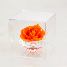 画像をギャラリービューアに読み込む, Ｃｒｙｓｔａｌ Ｒｏｓｅ ～クリスタルローズ～ ＯＲＡＮＧＥ｜GINZA SOBI FLOWERS（ギンザ　ソビ　フラワーズ）
