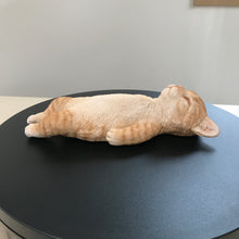 画像をギャラリービューアに読み込む, へそ天　茶トラ猫｜WooBia（ウービア）
