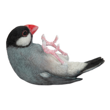 画像をギャラリービューアに読み込む, 文鳥ペンホルダー｜WooBia（ウービア）

