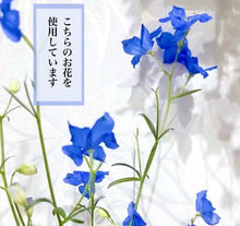 画像をギャラリービューアに読み込む, たっぷり金箔とデルフィニウムのボタニカルな水中花ヘアゴム｜ハピネスウェーブ
