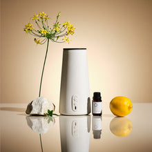 画像をギャラリービューアに読み込む, チリング レモンティー アロマディフューザー専用フレグランスオイル（15ml）｜BÉLAIR LAB（ベレアラボ）
