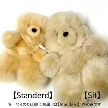 画像をギャラリービューアに読み込む, 【Standard】 アルパカベア  テディベア ぬいぐるみ（BOX付）｜Alpaca Bear&#39;s（アルパカベアーズ）
