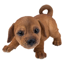 画像をギャラリービューアに読み込む, かまえるダックスフンドの子犬｜WooBia（ウービア）
