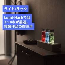 画像をギャラリービューアに読み込む, Lumi-Harb 光るミニハーバリウムベースライト(4種)｜AND SOUND（アンドサウンド）
