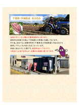 画像をギャラリービューアに読み込む, 誉のほしいも　300グラム×３フクロ（900グラム）ギフト｜ほしいも本舗　誉のほしいも（ホシイモホンポ　ホマレノホシイモ）
