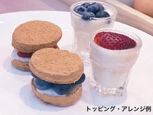 画像をギャラリービューアに読み込む, フリーズドライドッグフード PATTY MEALS - パティーミール（犬用総合栄養食） マグロフォーミュラ｜Kelly&amp;Co's（ケリーアンドコー）
