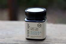画像をギャラリービューアに読み込む, マヌカハニーWild Cape UMF20+ 250g｜FARADAY　KAMAKURA（ファラディ　カマクラ）
