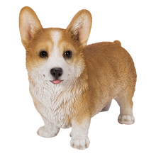 画像をギャラリービューアに読み込む, 左向きに立つウェルシュコーギー｜WooBia（ウービア）
