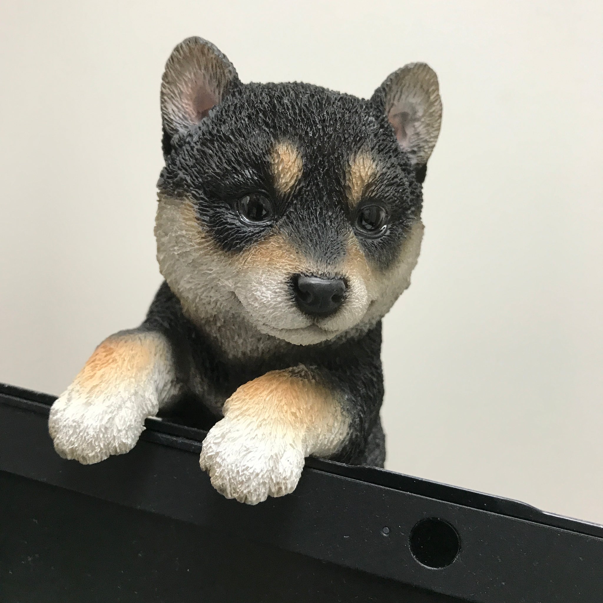 縁飾り 黒柴の子犬｜WooBia（ウービア） – CHOOSEBASE SHIBUYA