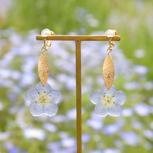 画像をギャラリービューアに読み込む, 本物のネモフィラとメタルリーフのピアス／イヤリング｜FT2 works（エフティーツーワークス）
