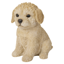 画像をギャラリービューアに読み込む, お座り トイプードル｜WooBia（ウービア）
