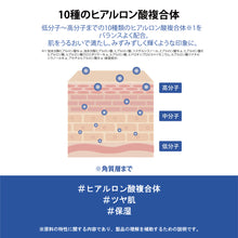 画像をギャラリービューアに読み込む, アロエセラミストセラム｜FIT YOUR SKIN（フィットユアスキン）
