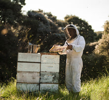 画像をギャラリービューアに読み込む, マヌカハニーWild Cape UMF20+ 250g｜FARADAY　KAMAKURA（ファラディ　カマクラ）
