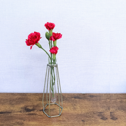 □未使用/ フランツコレクション　レッドカーディナル　花瓶　一輪挿し　箱つき SACCO ベース ガラス 01 花瓶 一輪挿し G26050 BR26051 GY26052