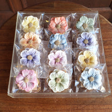 画像をギャラリービューアに読み込む, 天然色素のフラワーアイシングクッキー❀クリアーケースMサイズ｜HANASAKUKI（ハナサクキ）
