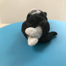 画像をギャラリービューアに読み込む, へそ天　ハチワレ黒白猫｜WooBia（ウービア）
