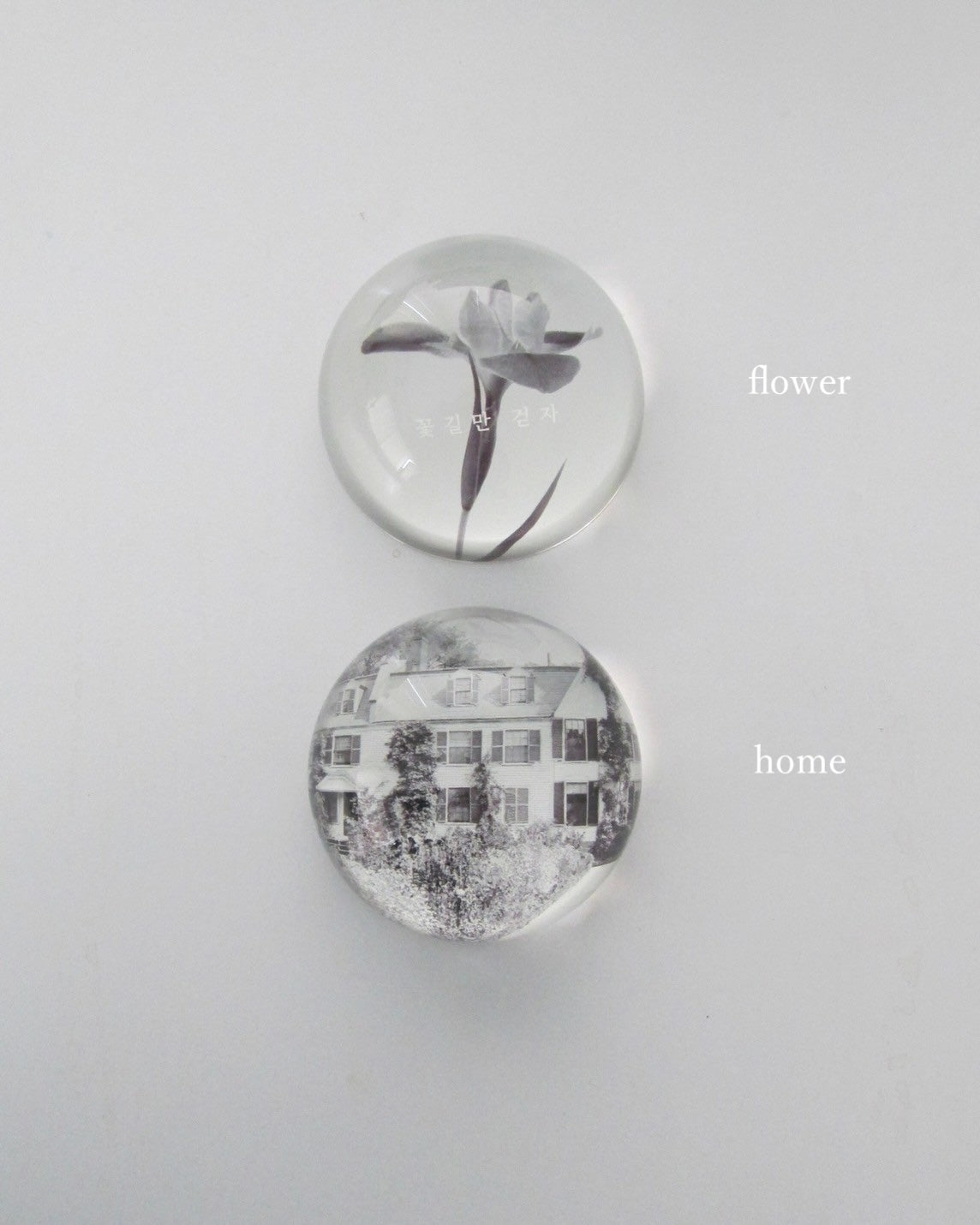 flower/home paper weight｜ggotgill（コッキル）