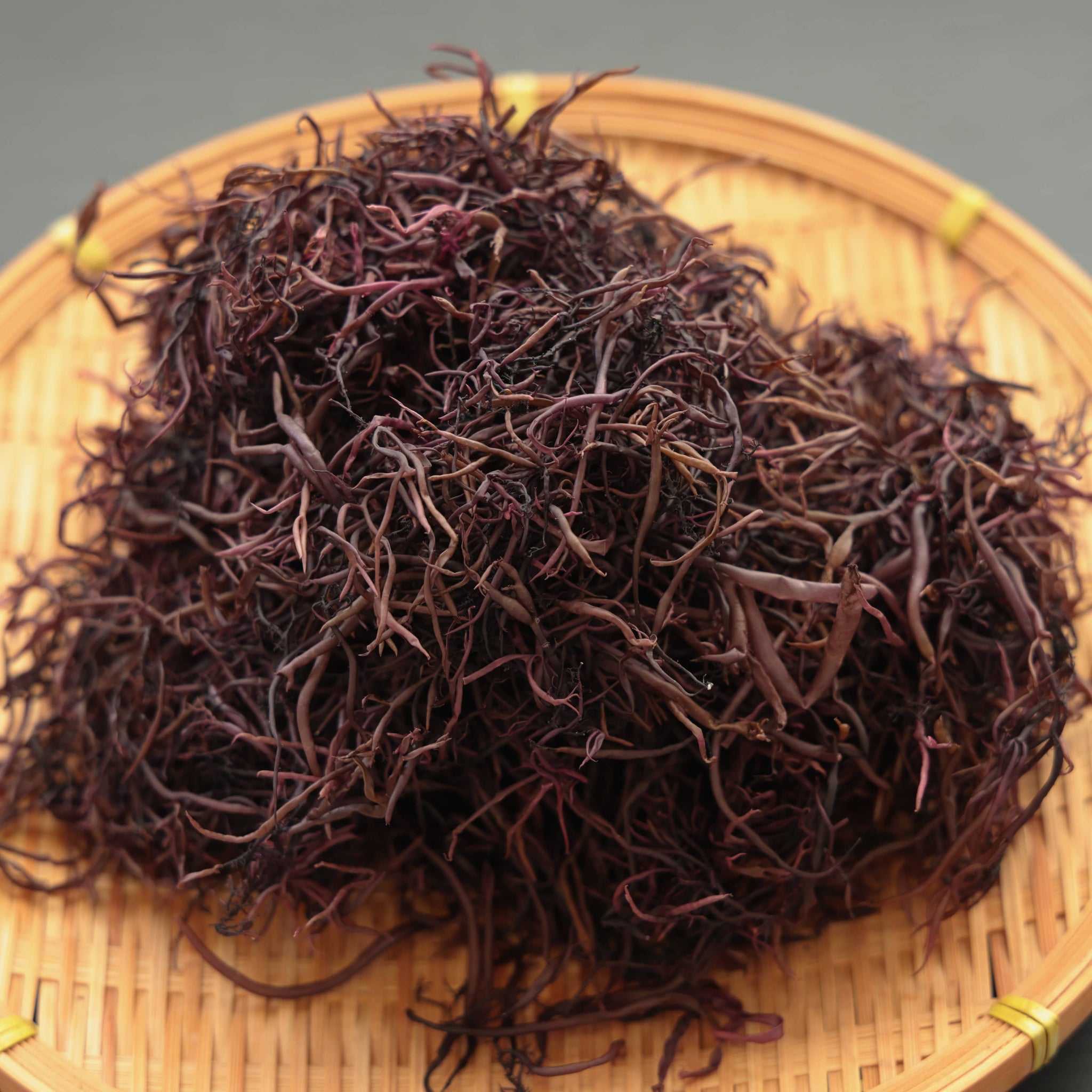 のげのり｜銚子たかね（チョウシタカネ） – CHOOSEBASE SHIBUYA