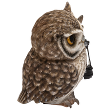 画像をギャラリービューアに読み込む, ソーラーランプを左手で持ち上げるフクロウ｜WooBia（ウービア）
