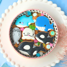 画像をギャラリービューアに読み込む, 海獣缶｜ケーキ工房　アンドンカフェ（ケーキコウボウ　アンドンカフェ）
