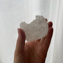 画像をギャラリービューアに読み込む, ちいさなおつきさま｜とある庭から（トアルニワカラ）
