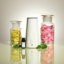 画像をギャラリービューアに読み込む, ピュリファイイング ジンジャー アロマディフューザー専用フレグランスオイル（15ml）｜BÉLAIR LAB（ベレアラボ）
