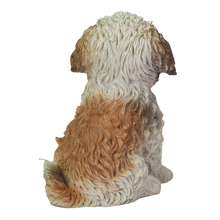 画像をギャラリービューアに読み込む, 頭を上げるシーズー｜WooBia（ウービア）
