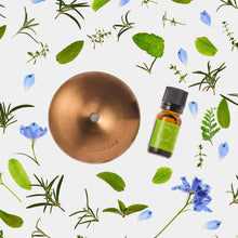 画像をギャラリービューアに読み込む, ハーバルシナジー フレグランスオイル（10ml）｜BÉLAIR LAB（ベレアラボ）
