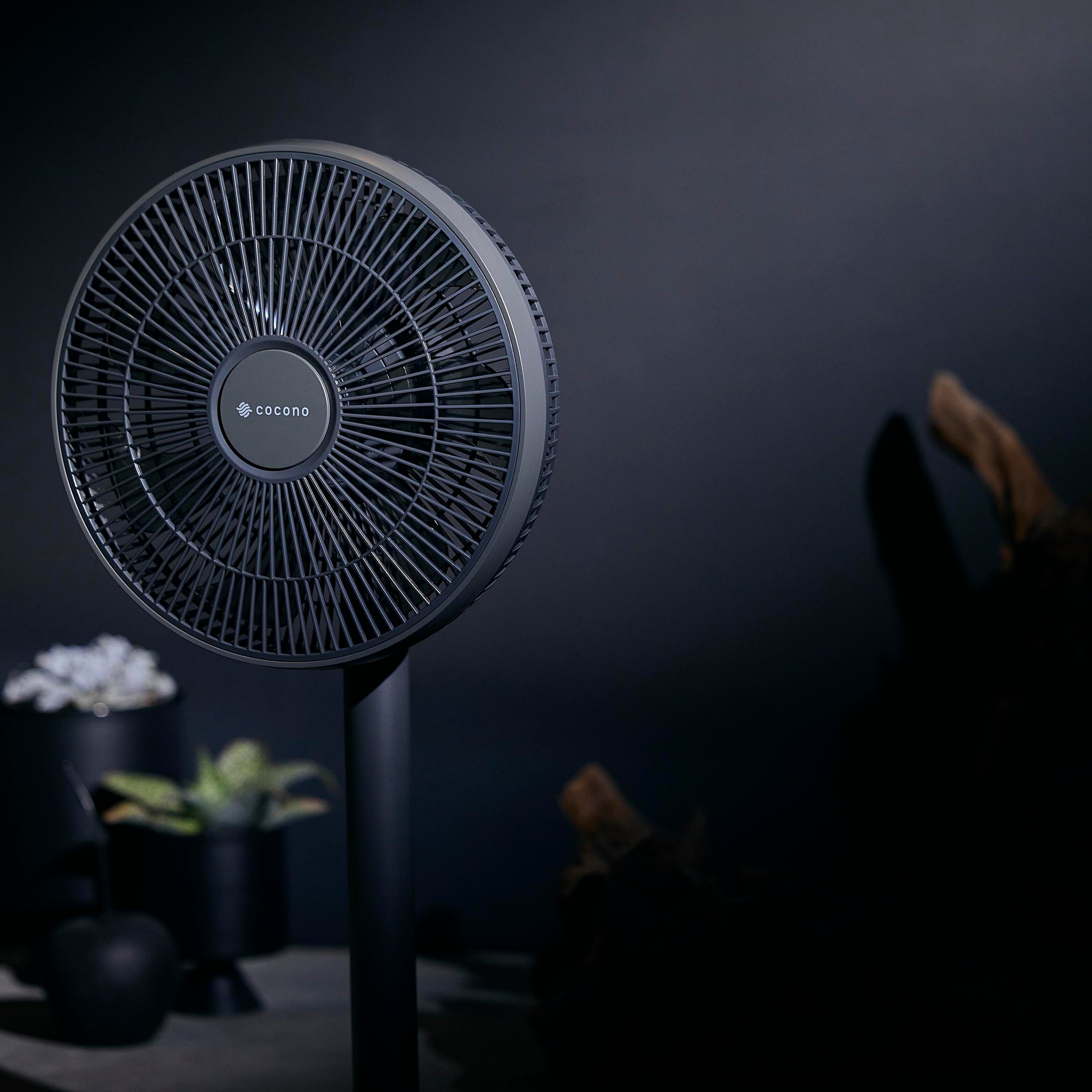 airyfan ベーシック｜cocono（ココノ） – CHOOSEBASE SHIBUYA