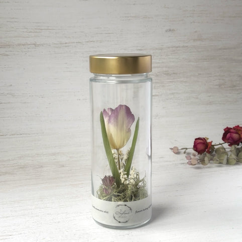 Infini チューリップのボトルフラワー｜Infini（アンフィニ）