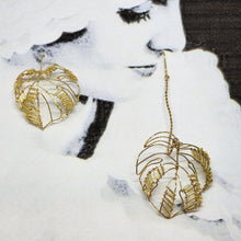 画像をギャラリービューアに読み込む, Monstera｜neko（ネコ）
