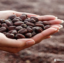 画像をギャラリービューアに読み込む, ゴールデン・ホホバオイル200ｍｌ｜FARADAY　KAMAKURA（ファラディ　カマクラ）
