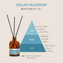 画像をギャラリービューアに読み込む, リードディフューザーセット〈Rainforest in Bloom〉｜PHUTAWAN（プタワン）
