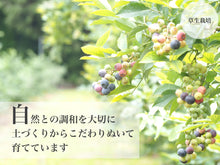 画像をギャラリービューアに読み込む, 農薬不使用栽培のブルーベリージャム310g｜Blueberry Farm SUZUKI（ブルーベリーファームスズキ）
