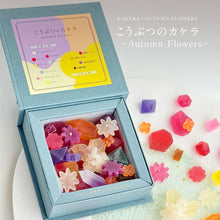 画像をギャラリービューアに読み込む, 〔期間限定〕　こうぶつのカケラ　~Autumn flowers~｜ハラペコラボ
