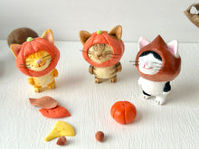 画像をギャラリービューアに読み込む, くりをかぶった猫さん（キジトラ）｜手ノヒラ堂（テノヒラドウ）
