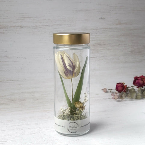 Leonardoフラワーベース 4セット H11cm グレー Poesia Amazon.co.jp: SPICE OF LIFE(スパイス) 花瓶 ボトルフラワー