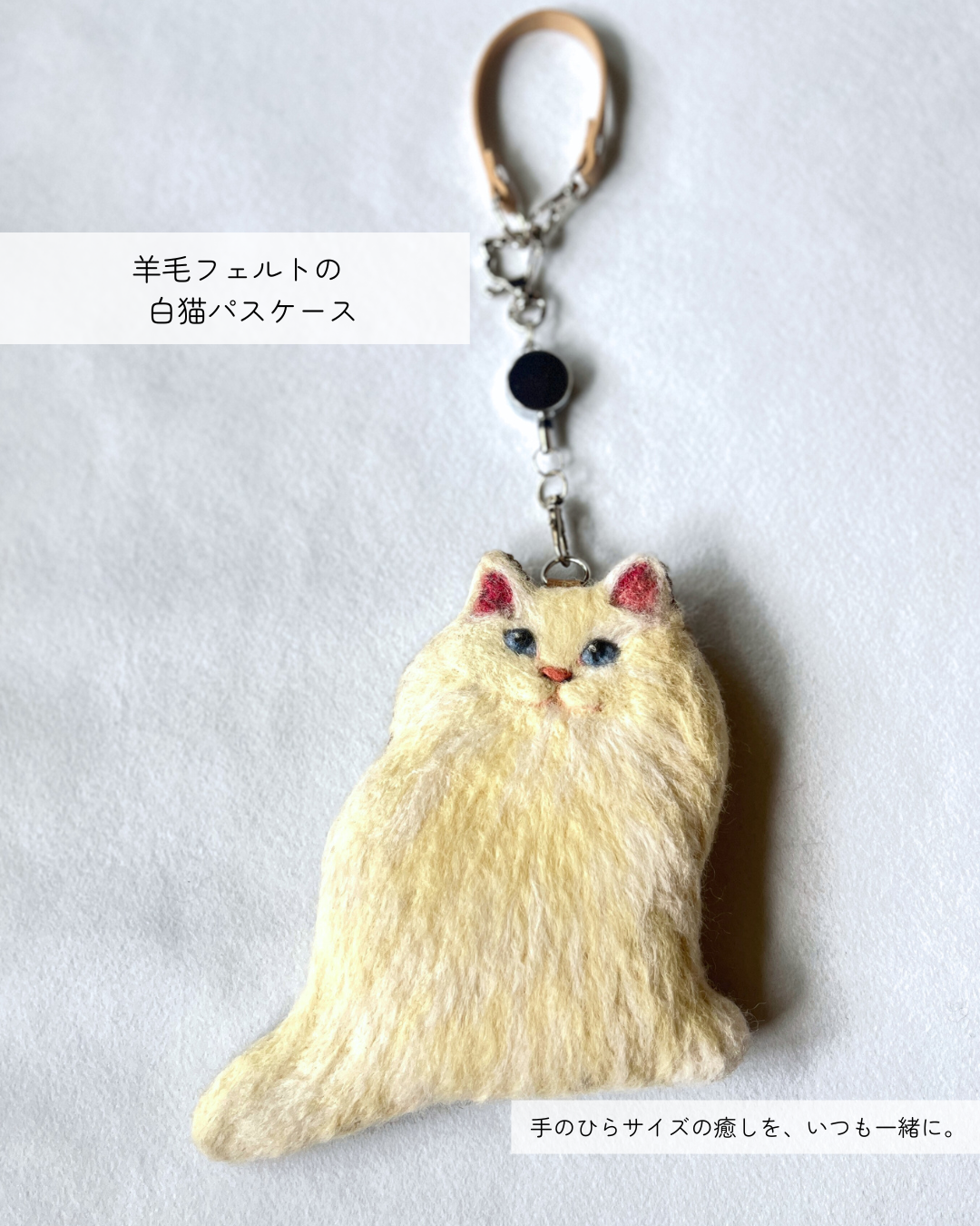 たろじろ – CHOOSEBASE SHIBUYA